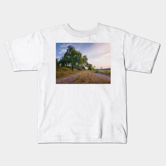 willow near country road Kids T-Shirt by psychoshadow